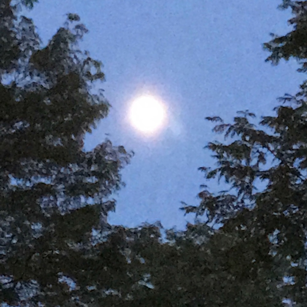 Meet your Posher, Gretchen